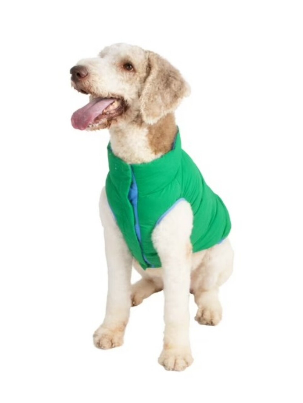 Oodles Dog Puffer Jacket